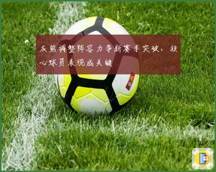 灰熊调整阵容力争新赛季突破，核心球员表现成关键
